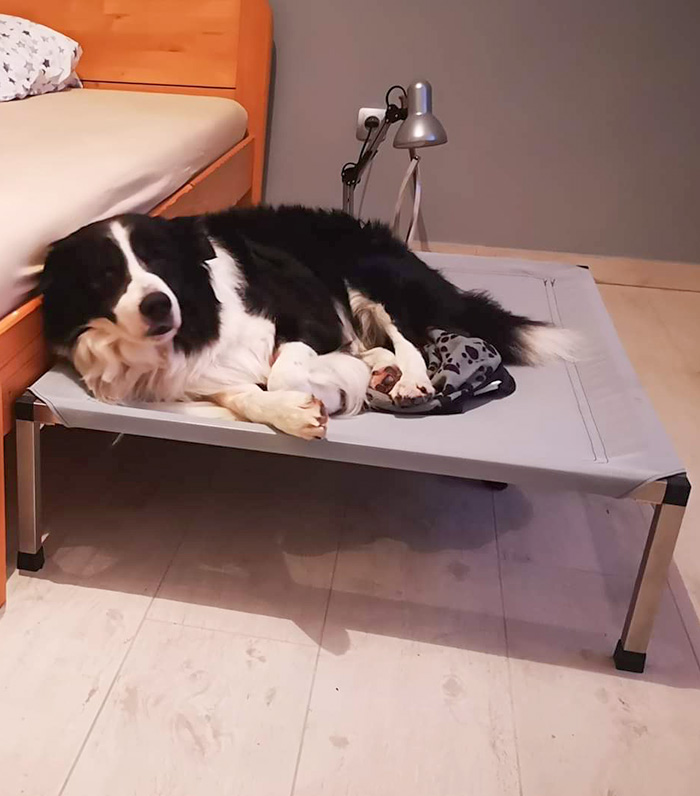 borderka u postele